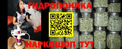 ПСИЛОЦИБИНОВЫЕ ГРИБЫ Пенза