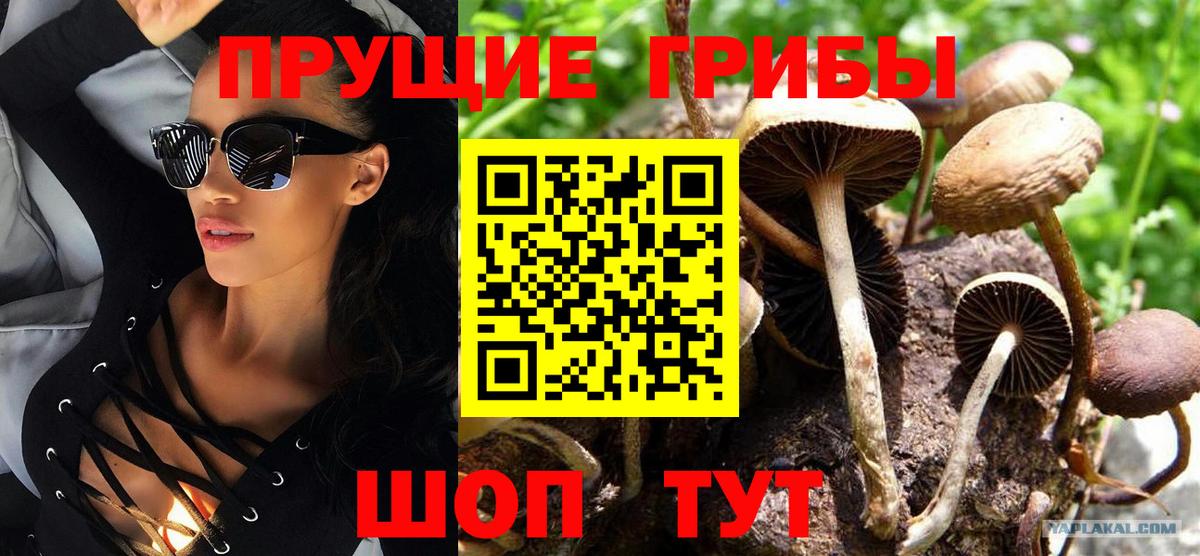 Псилоцибиновые грибы Magic Shrooms  Вход с VPN  Первоуральск 